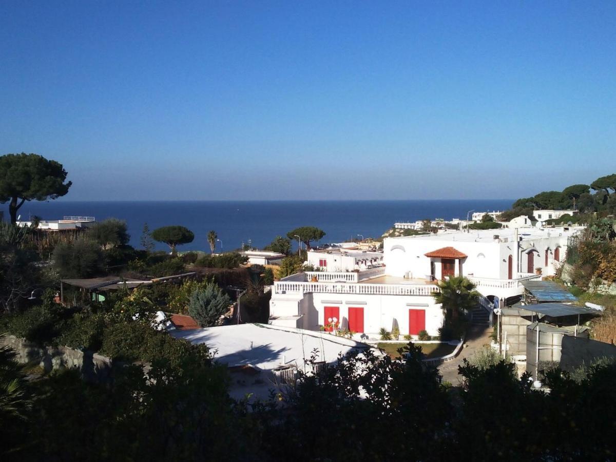 Apartment Ponente By Interhome Forio di Ischia Exteriör bild